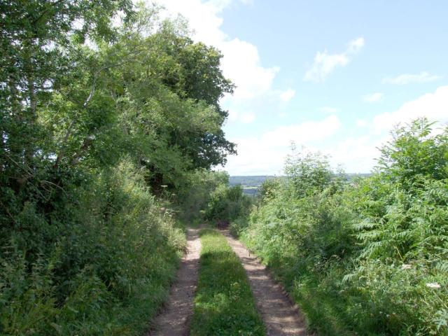 Land at Tipton St John (Lot 2) - Townsend Chartered Surveyors